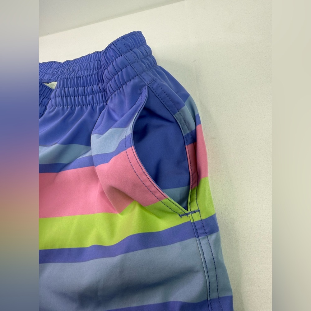 chubbies Men's Blue Swim Trunks with Pink and Lime Stripes - Picture 6 of 8